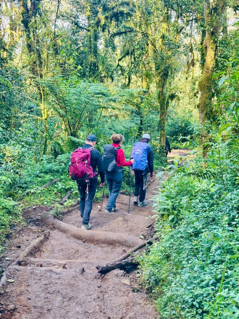 img 0116
