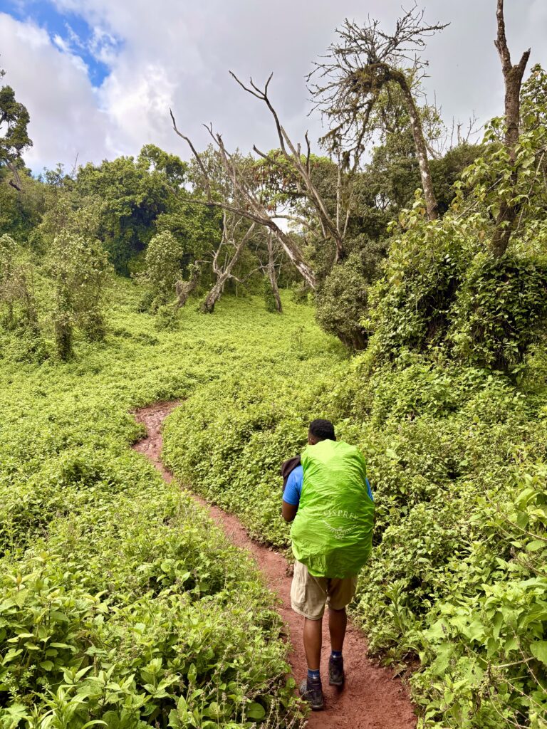 kilimanjaro lemosho24
