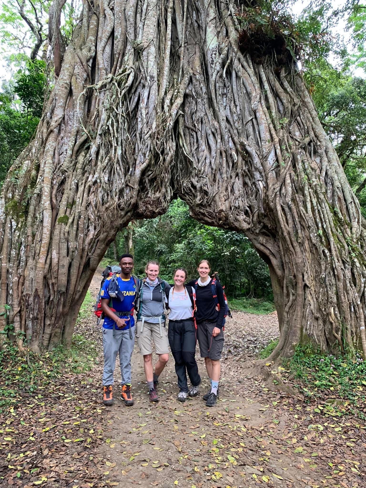 mount meru15