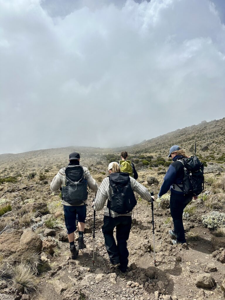 kilimanjaro marangu6