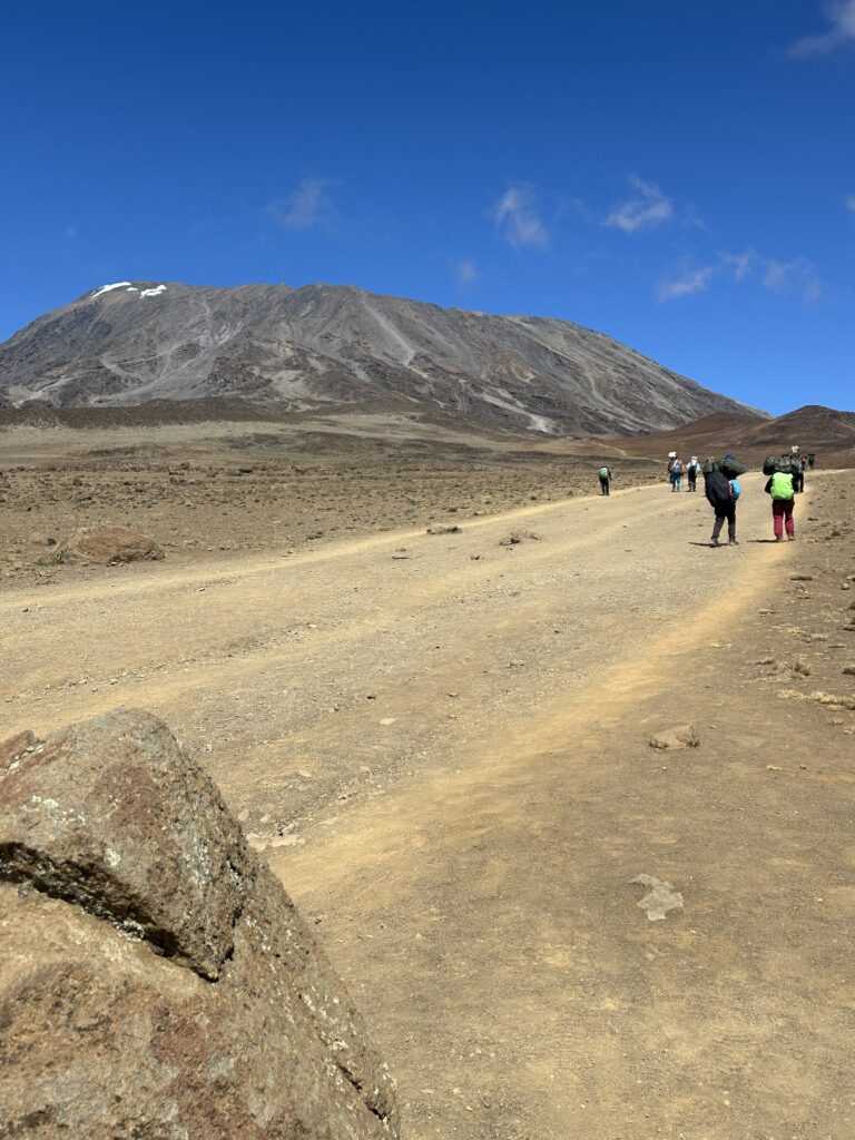 kilimanjaro marangu8